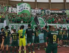 包含杭州绿城主场大捷，连胜场次突破双位数的词条