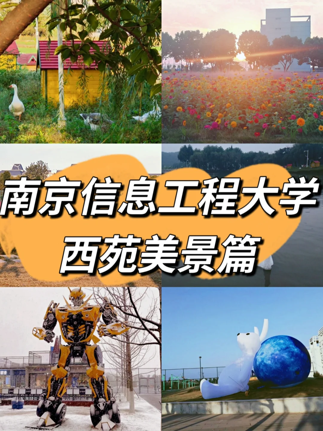 包含南京信息工程大学连胜连场，精彩表现的词条