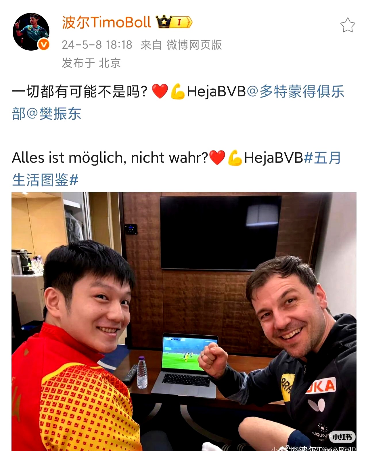 日本乒乓球队轻取法国乒乓球队,波尔高光表现的简单介绍 日本乒乓球队轻取法国乒乓球队,波尔高光表现的简单介绍