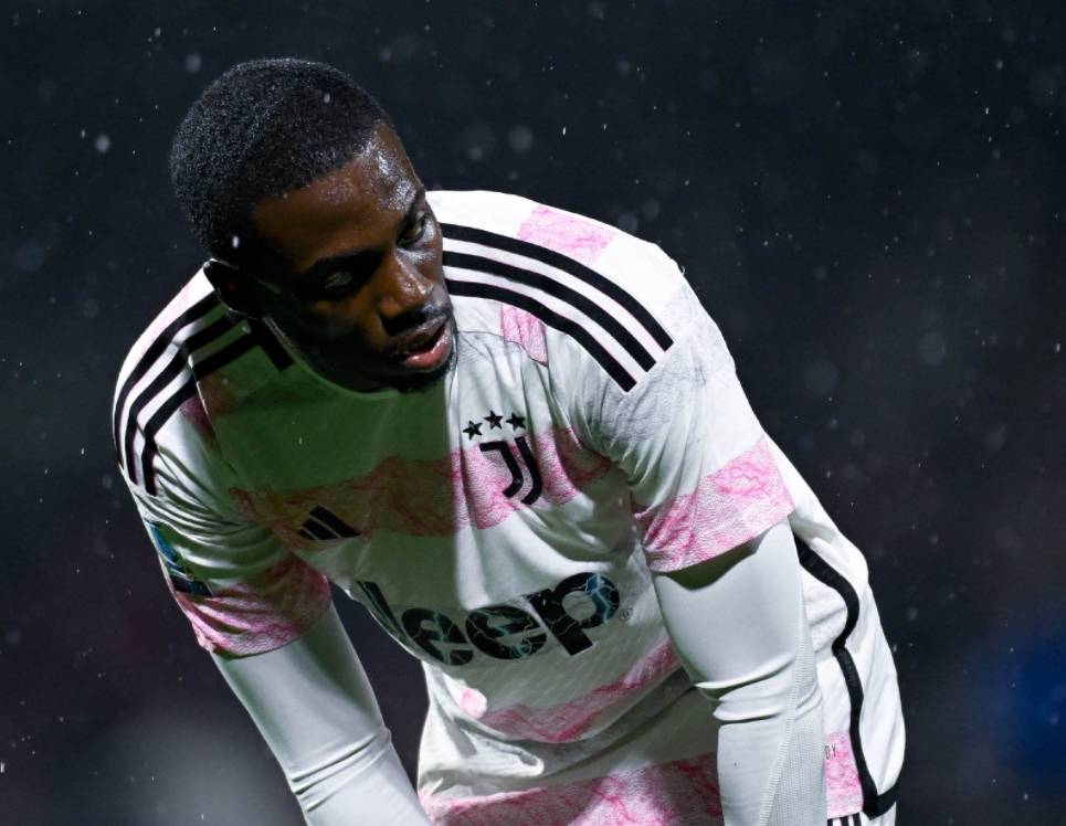 瑞典绝杀巴黎，弗拉霍维奇高光表现的简单介绍