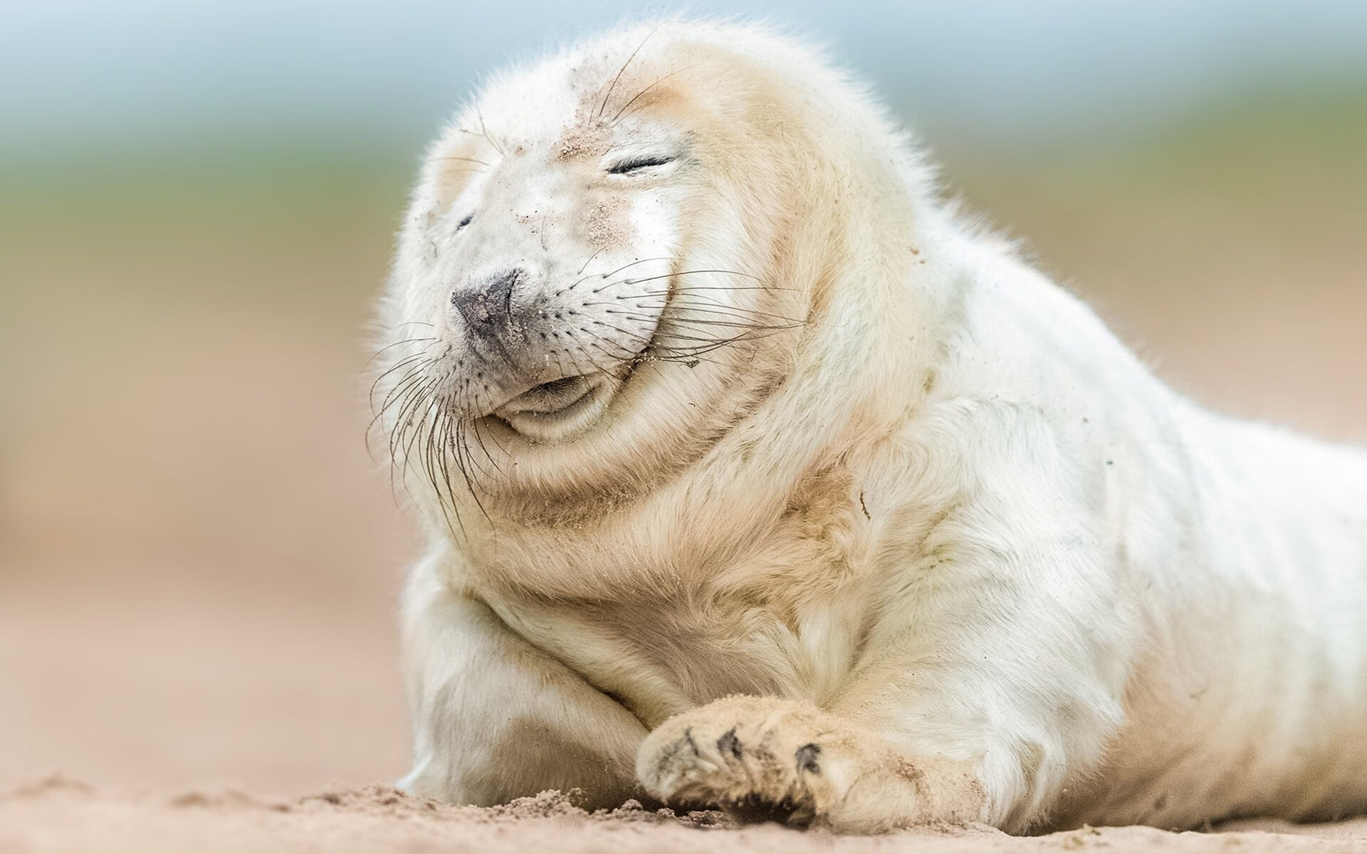 奥利维耶的惊鸿一刻,当伊朗的叹息淹没中国男篮的黄金时代