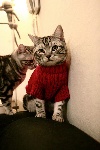 罗马打穿牙买加，奥亚尔萨瓦尔编织的胜利乐章