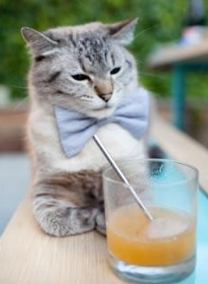 迪亚斯单骑救主，当一个女孩扛起整个国家的重量