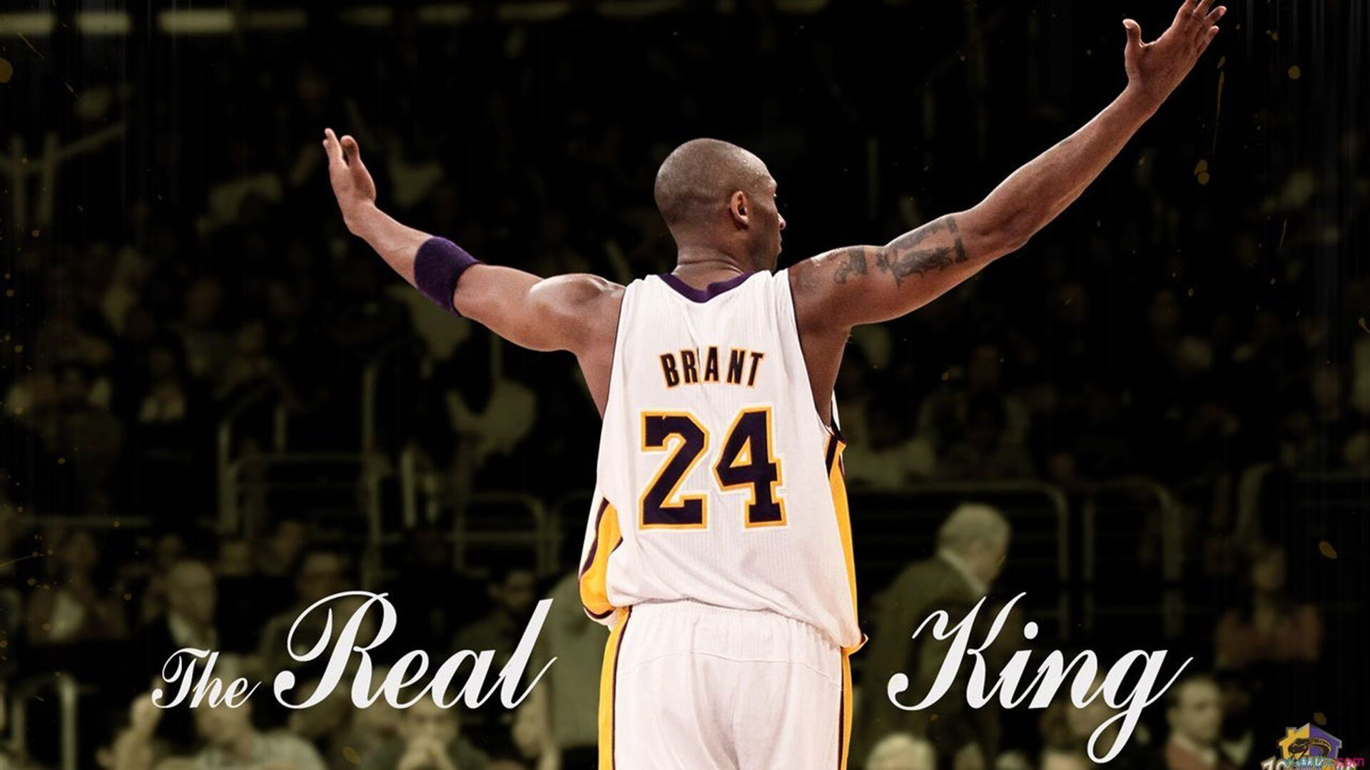 山西队血拼灰熊式防守，德罗赞季后赛接管模式，篮球赛场上的坚韧与主宰