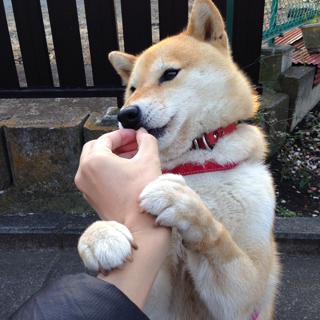 烈焰焚城,太阳踏平凯尔特人,西决生死战谱写传奇