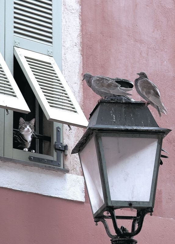 狂暴之夜！利拉德攻防两端的极限统治