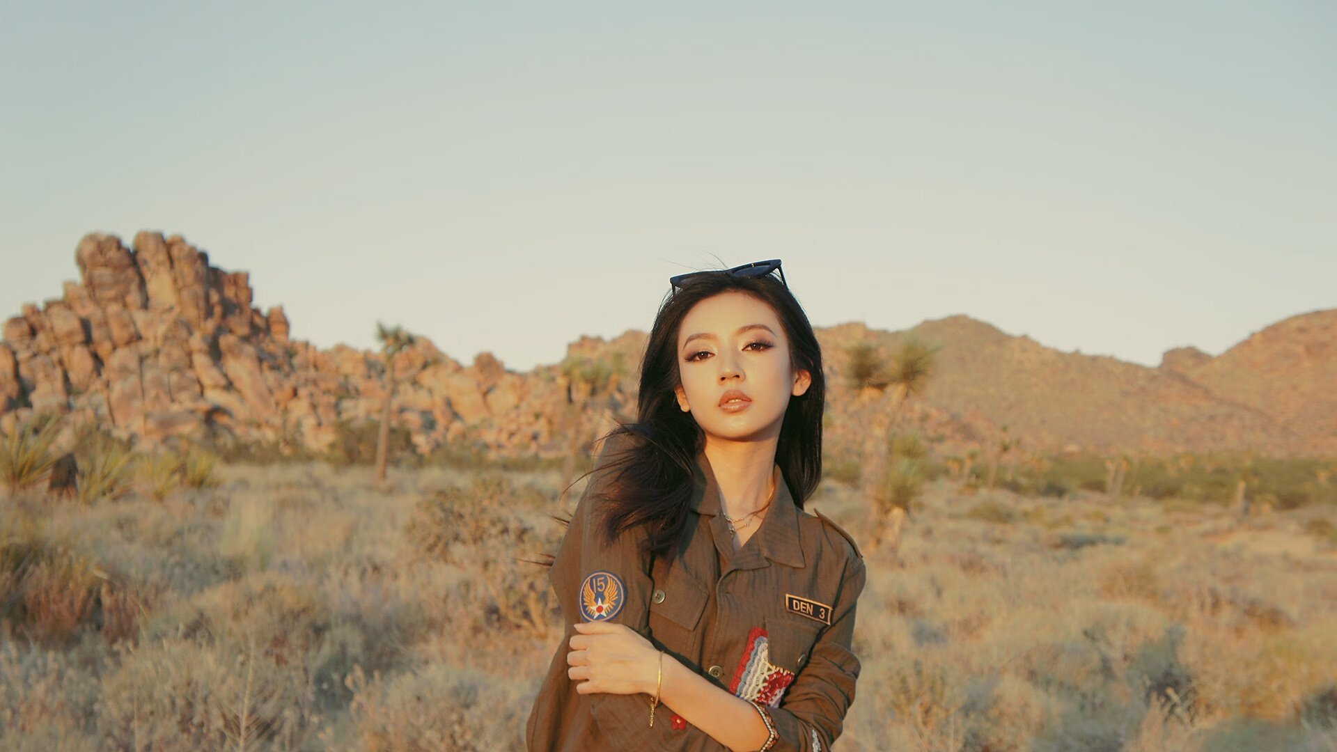 浴血安菲尔德,波兰孤狼戈麦斯与他的生死救赎之战